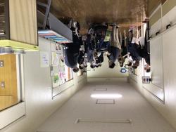 授業を見学している写真